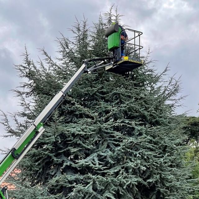 tree-pruning-1-kireth-ai