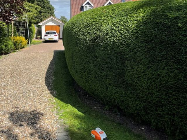 Hedge Cutting Services Driffield