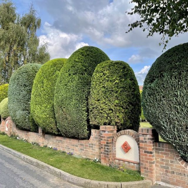 hedge-trimming-3-kireth-ai