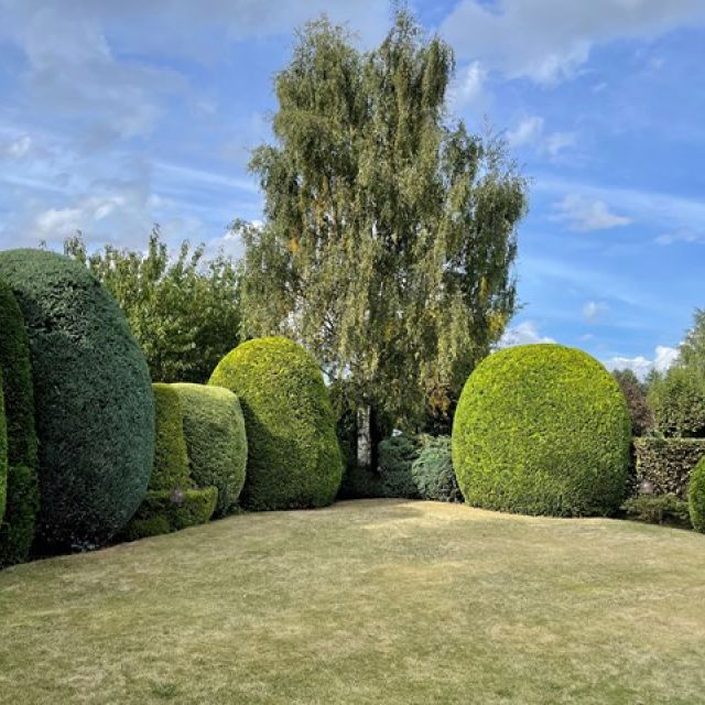 hedge-trimming-1-kireth-ai